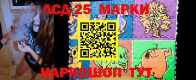прущие грибы Обнинск