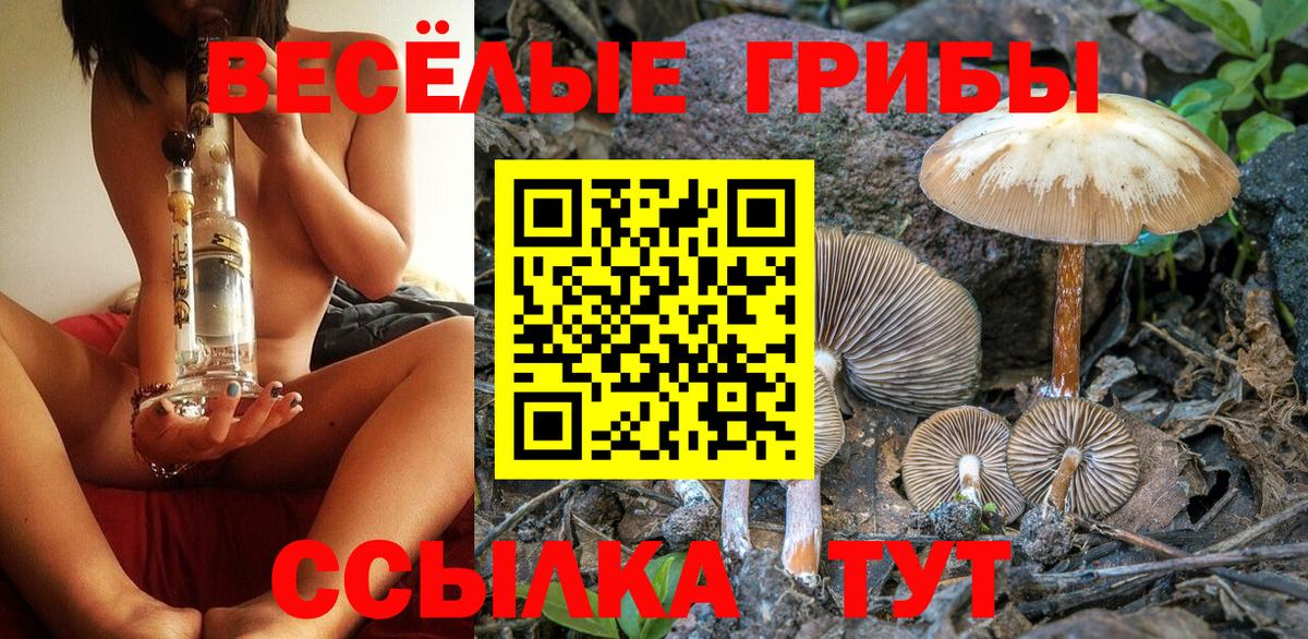 Псилоцибиновые грибы Psilocybe  Галлюциногенные грибы MAGIC MUSHROOMS  Вход с VPN  Щёлково 